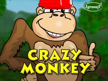 Crazy Monkey